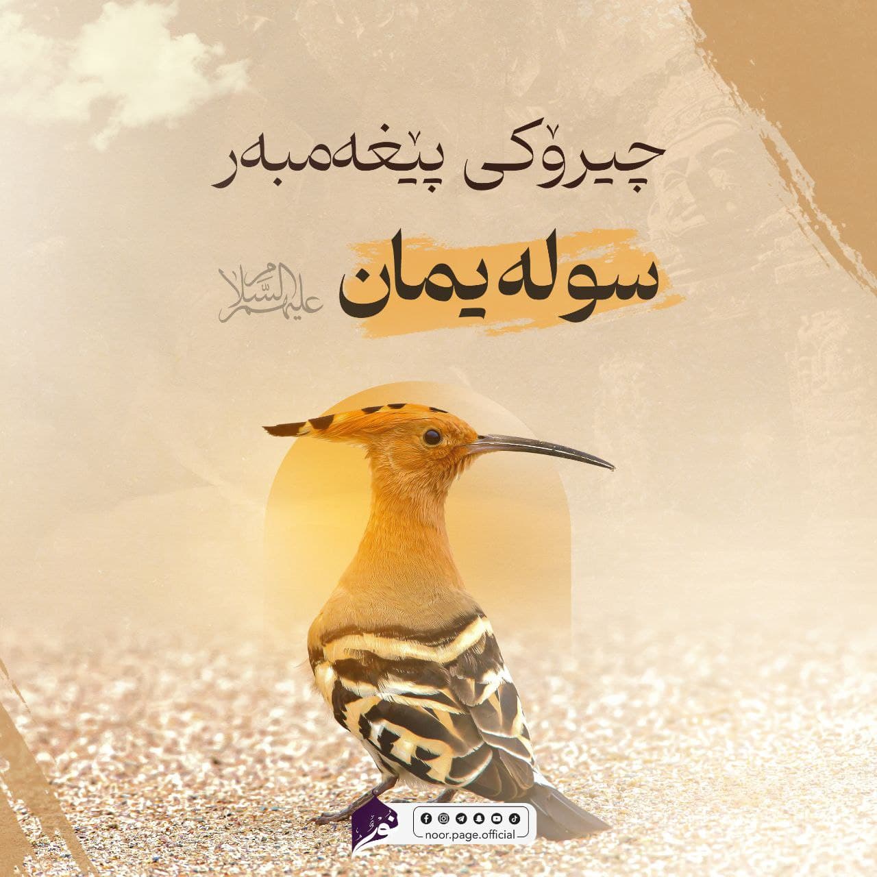 چیرۆکی پێغەمبەر سولەیمان {عَلَيْهِ السَّلَاْمُ}