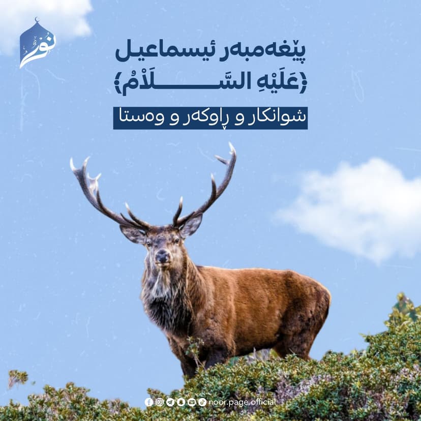 پێغەمبەر ئیسماعیـل ﴿عَلَيْهِ السَّلَاْمُ﴾