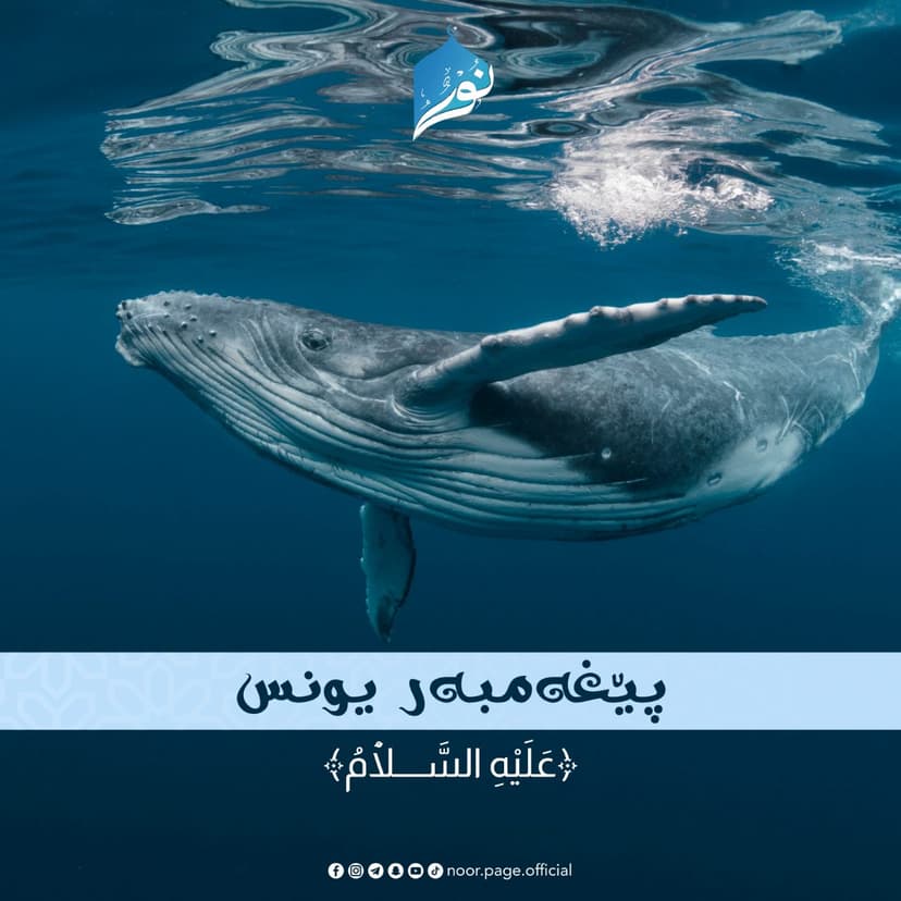 پێغەمبەر یونس ﴿عَلَيْهِ السَّلَاْمُ﴾