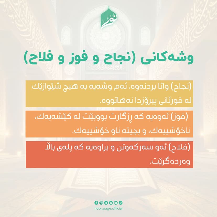 وشەکانی (نجاح و فوز و فلاح)